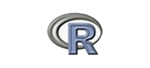 R Logo